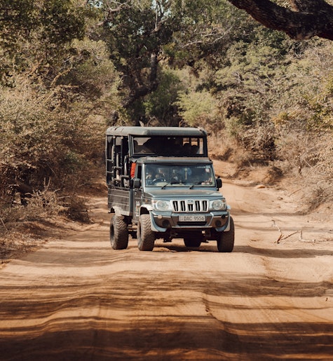 Safari to Yala National Park