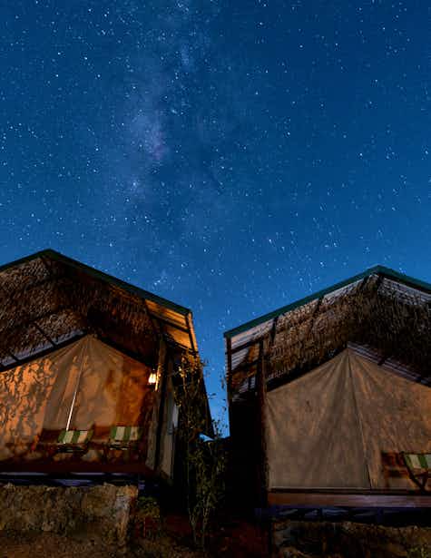 wild glamping knuckles last minute offers