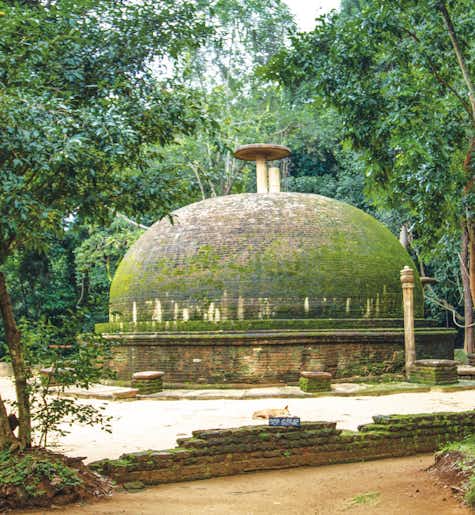 Discover the Ruins of Rajagala