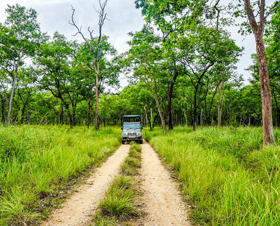 jeep safari with gayan