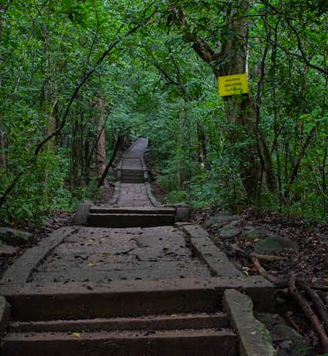 Visit Ritigala Buddhist Monastery & Nature Reserve