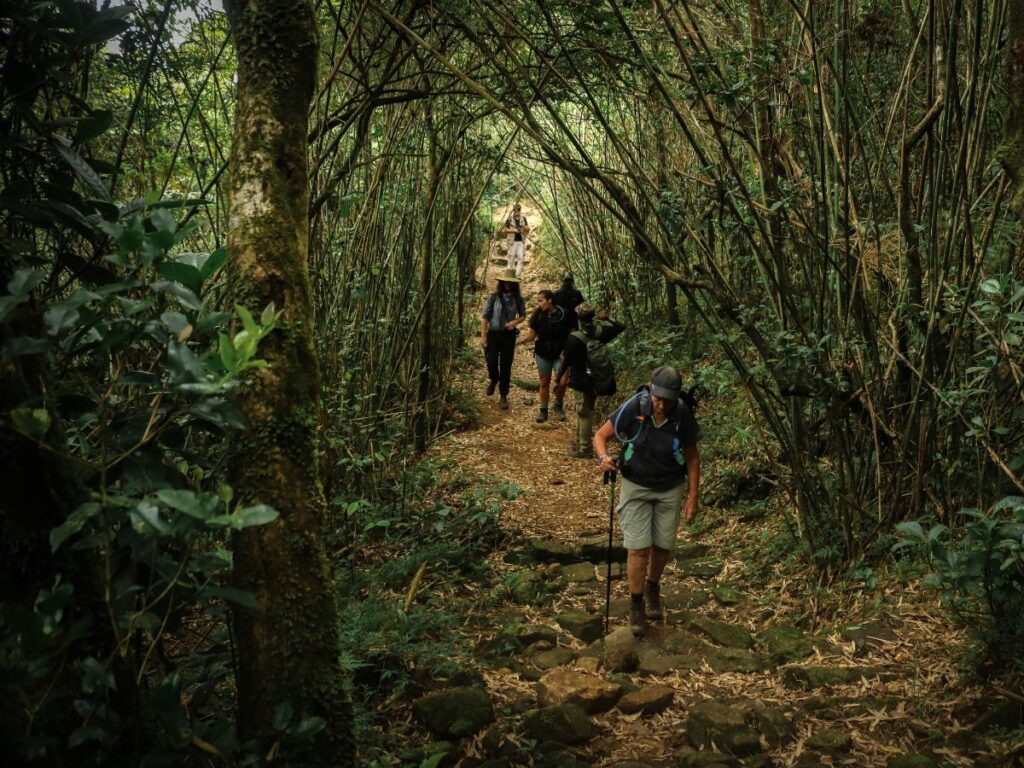 Guided High Knuckles Trekking Experience in Sri Lanka