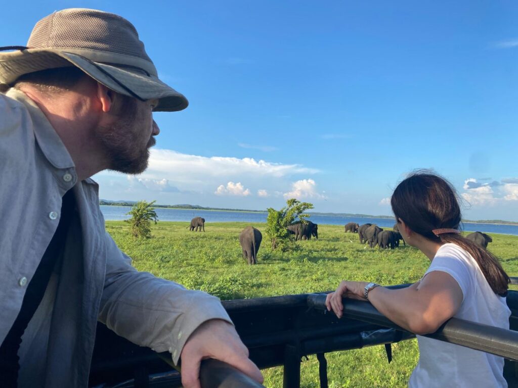Safari with Amba Yaalu Kandalama
