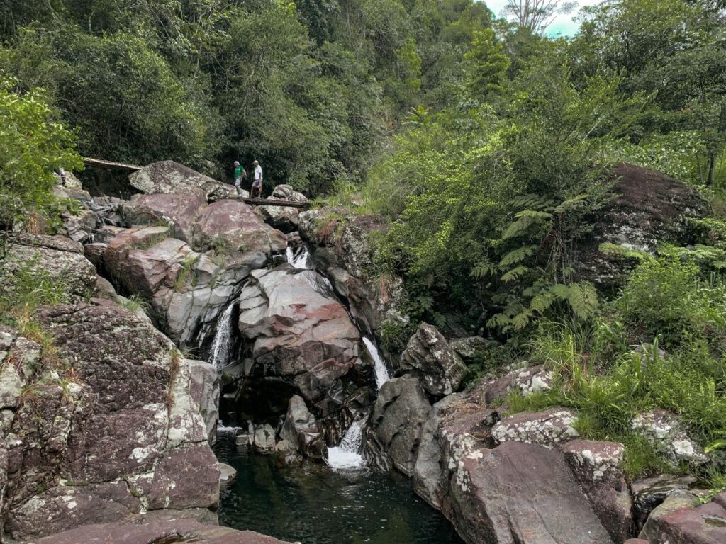 Trekking Adventure through Heel Oya Forest Trail