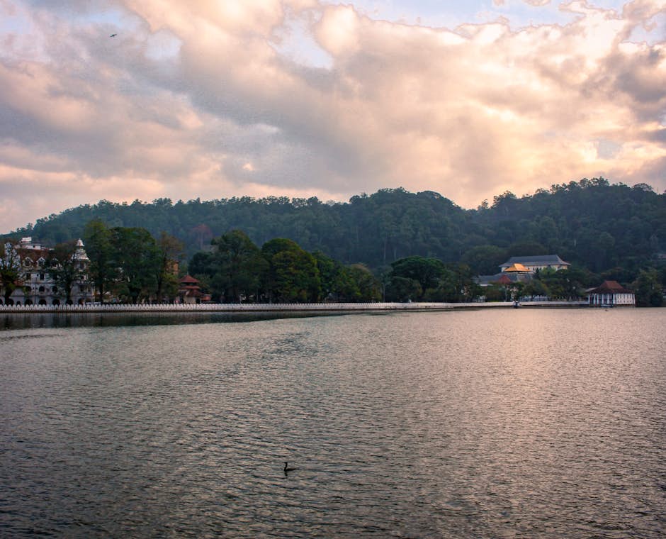 Kandy River View