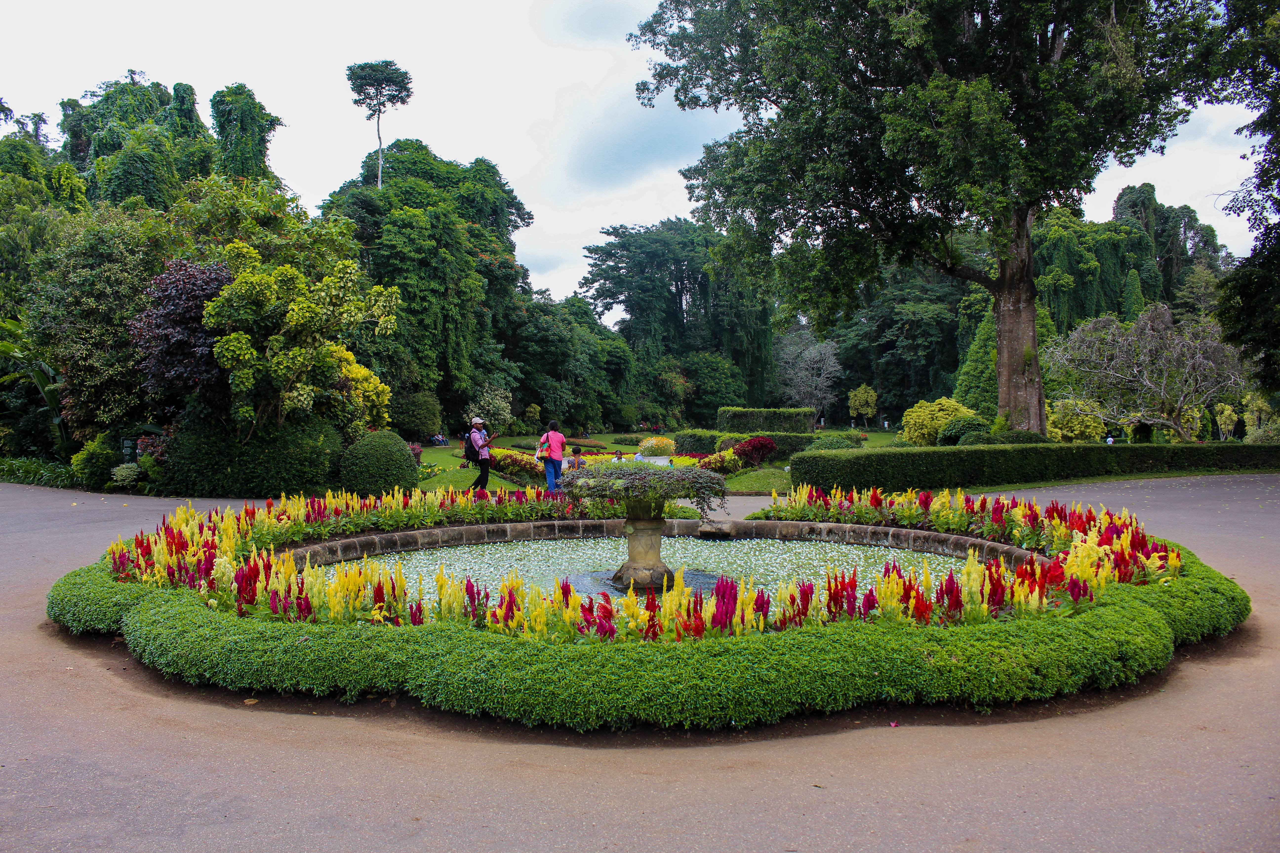 Botanical Gardens Kandy Experiences Mountbatten Bungalow