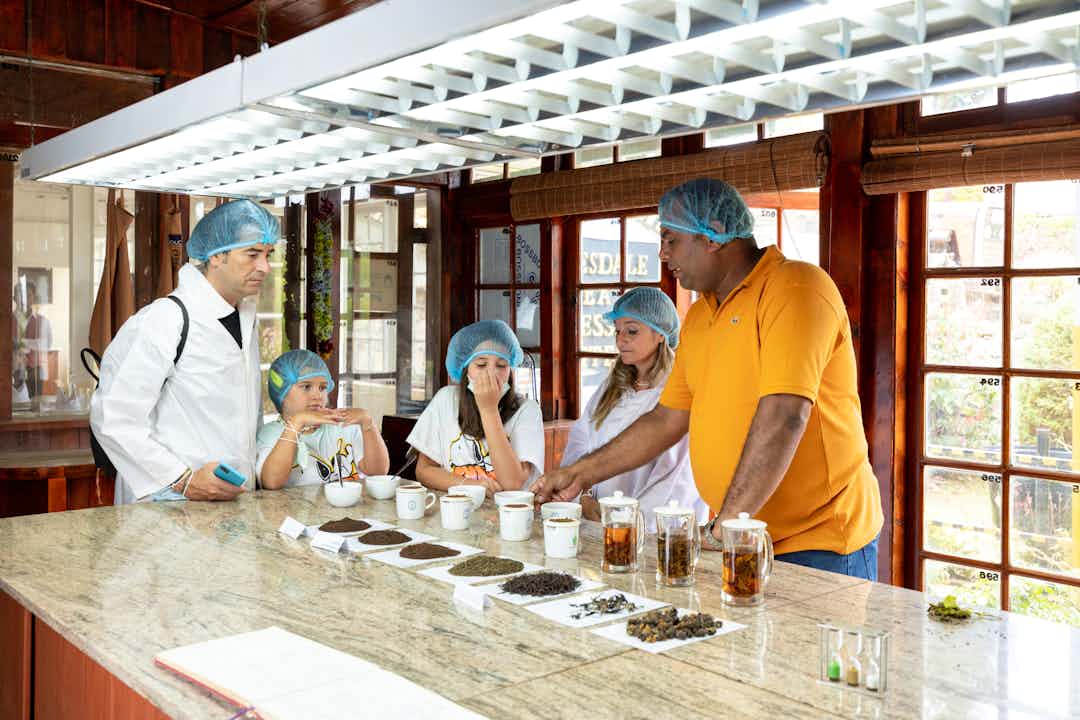 tea tasting experience in Nuwara Eliya