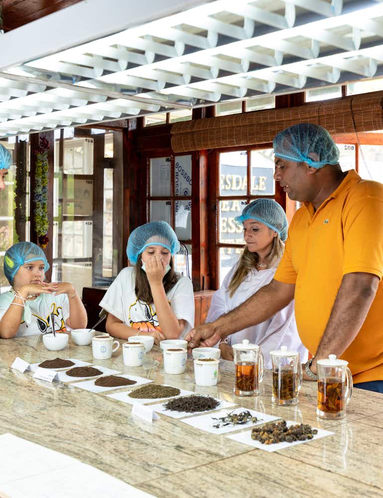Get to know abount ceylon Tea at Tea & Experience Factory